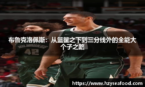 布鲁克洛佩斯：从篮筐之下到三分线外的全能大个子之路